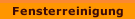 Fensterreinigung